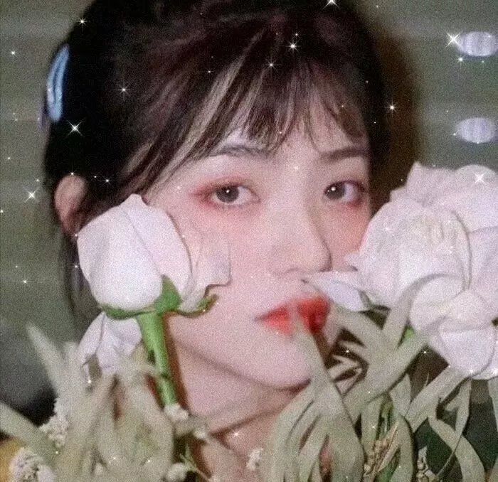 路卡的夏天